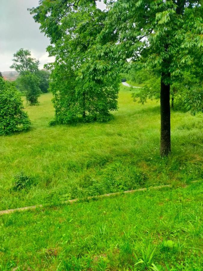 Il Bosco Incantato Borgo San Dalmazzo Bagian luar foto
